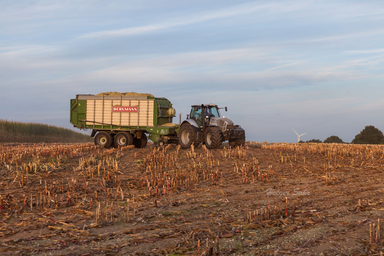 Bild 141 - Maisernte 2016